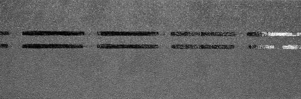 Коньково-карнизная черепица Docke Premium, черника купить в Казани